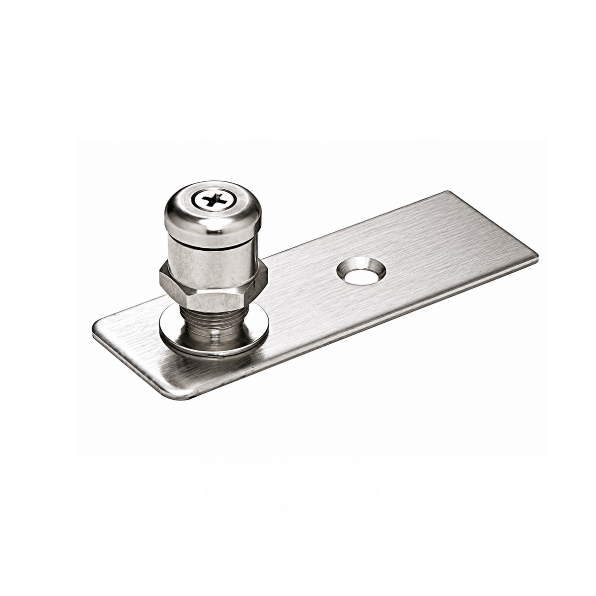 Floor Mount Free Swing Pivot — Brushed Nickel